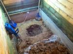 Строительство дачи в СНТ. Часть 28 - Установка кессона на скважину и ввод воды в дом